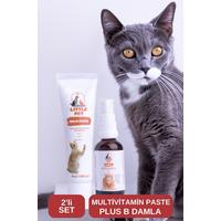 LITTLE PET 2 Li Set Multi Paste 100 gr Plus-b Damla 50ml